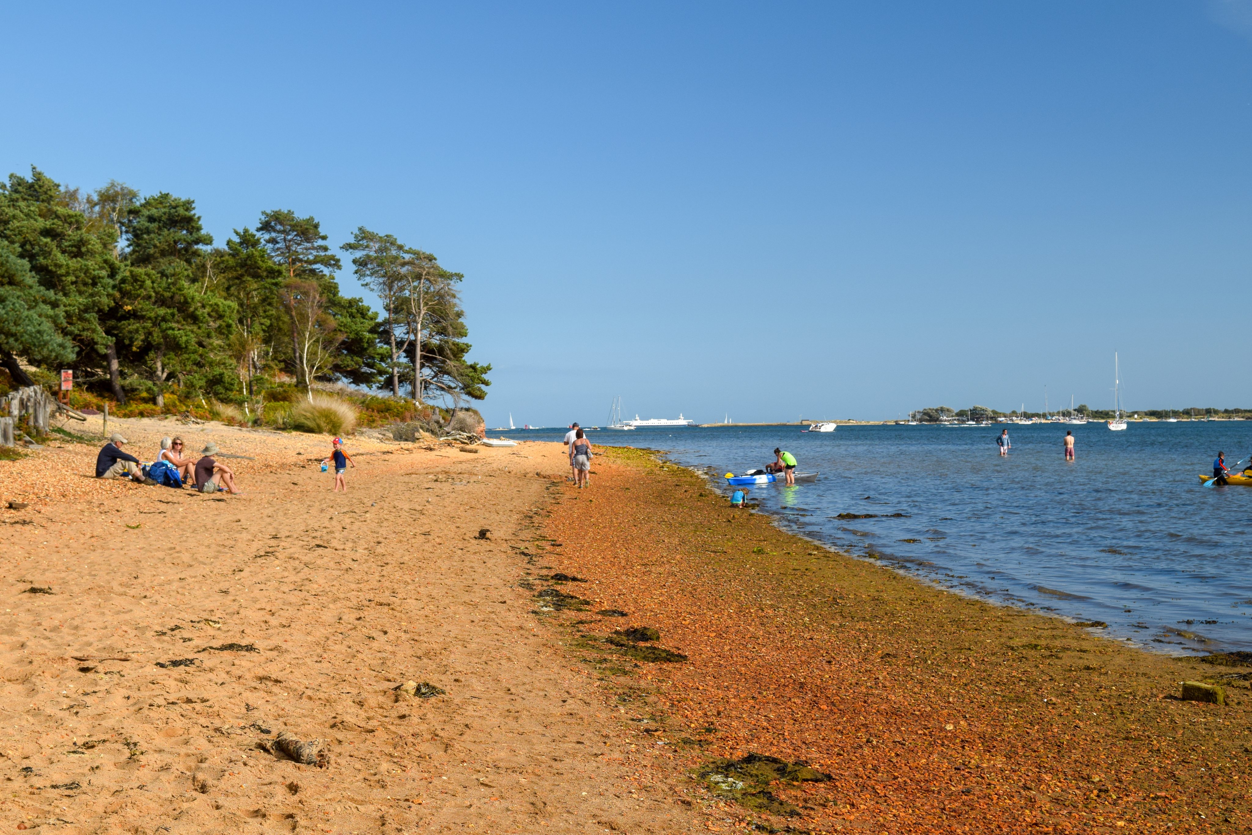 Brownsea Island Camping Islandeering